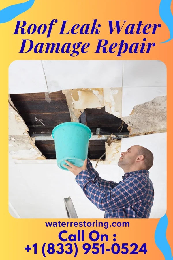 Roof Leak Water Damage Repair in New Bern, NC